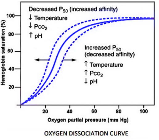 The decrease in the pH of the blood it will decreases : (a) The rate of ...