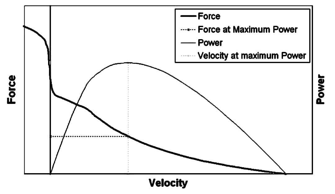 what-is-the-force-velocity-relationship