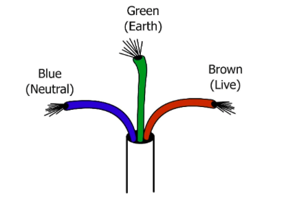 Live wire  meaning of LIVE WIRE 