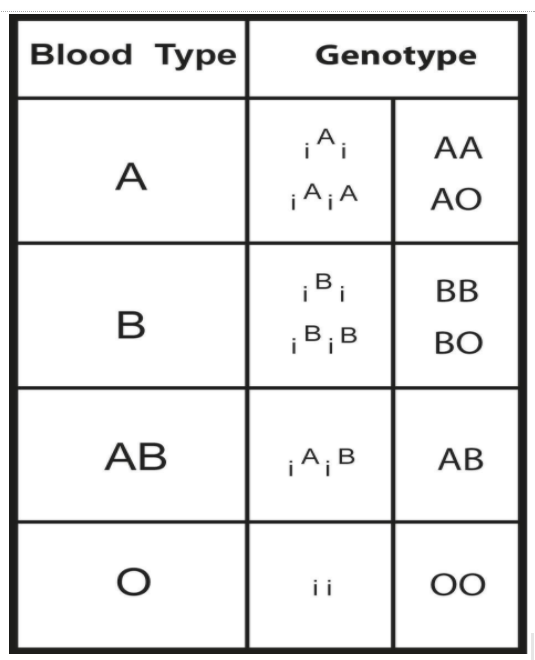 Which one of the following statements is true for the ABO ...