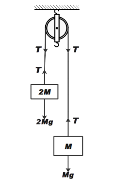 The monkey has a mass twice that of the block which has the plane ...