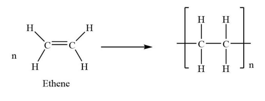 Explain The Following Terms:(a). Homopolymer(b). Elastomers