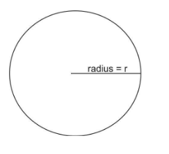 The circumference of a circle is $ 10\\pi $ cm, find the radius and the ...