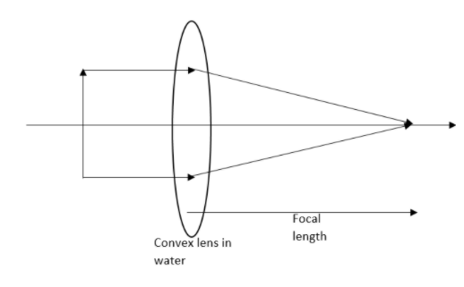 A convex glass lens has been immersed in water. Compared to its power ...