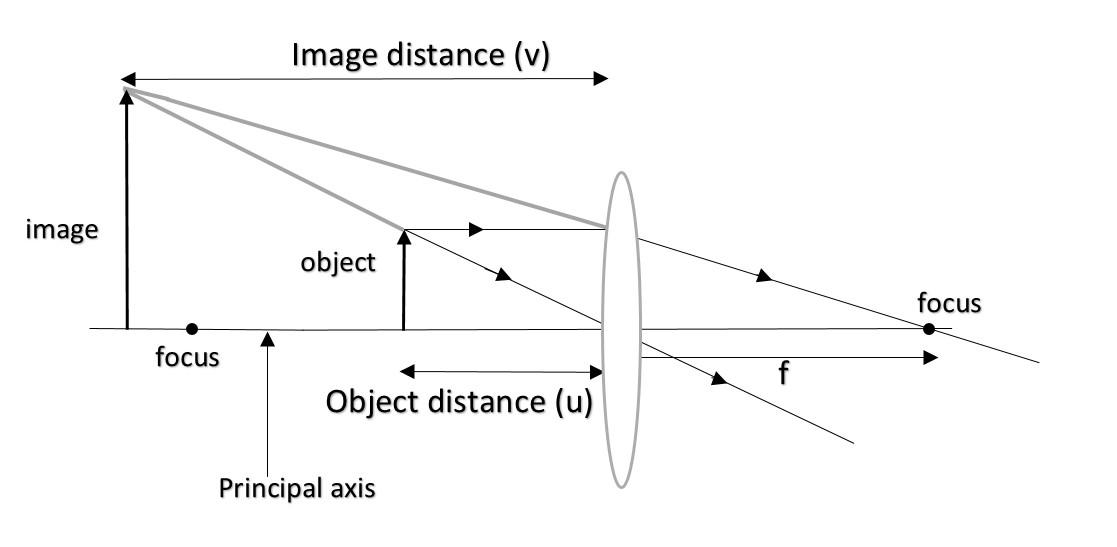 When the convex lens acts as a magnifying glass, the object is between ...