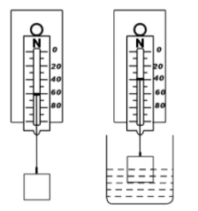 A student notes down the observations in the two spring balances and ...