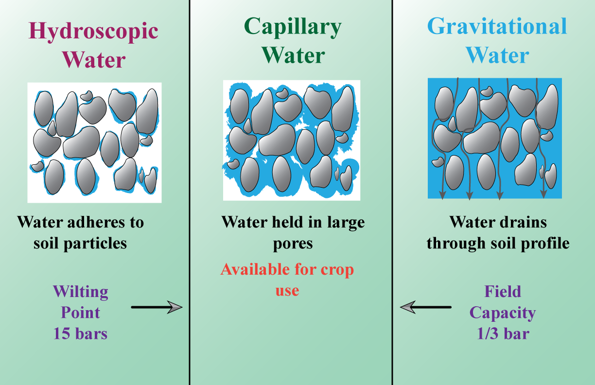 Differentiate Between Hygroscopic Water And Capillary Water 