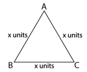 Draw an equilateral triangle. Draw its altitudes, medians and angle bisectors. Explain your observation.