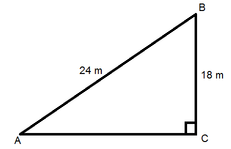 A guy wire attached to a vertical pole of height 18 m is 24 m long and ...