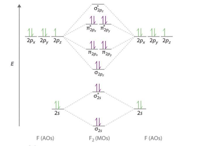 Draw molecular orbital diagram for ${{F}_{2}}$ molecule. Also, gives ...