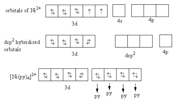 text{Ni(py}}{{\\text{)}}_{\\text{4}}}{{\\text{(Cl}}{{\\text{O}}_4 ...