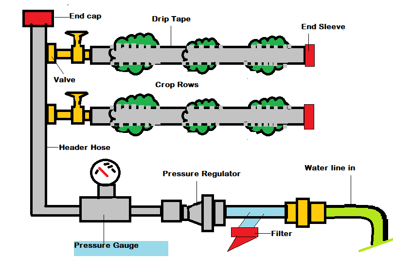 Draw a labeled diagram of the drip irrigation system.