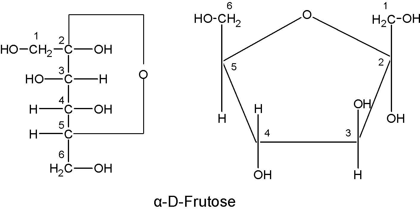 Draw the structures of fructose for Haworth projection formulae.