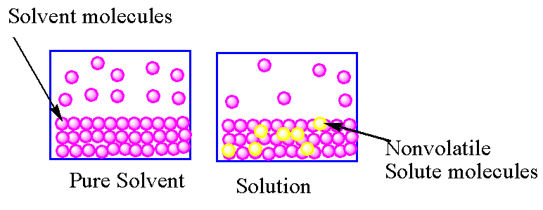 state-and-explain-raoult-s-law