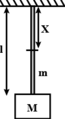 A heavy block of mass $M$ hangs in equilibrium at the end of a rope of ...