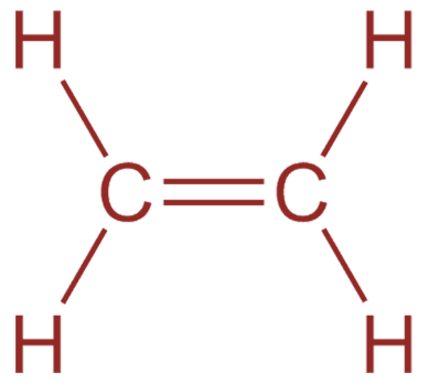 The bonds present in the ethylene molecule are A.2 sigma 2 piB.5