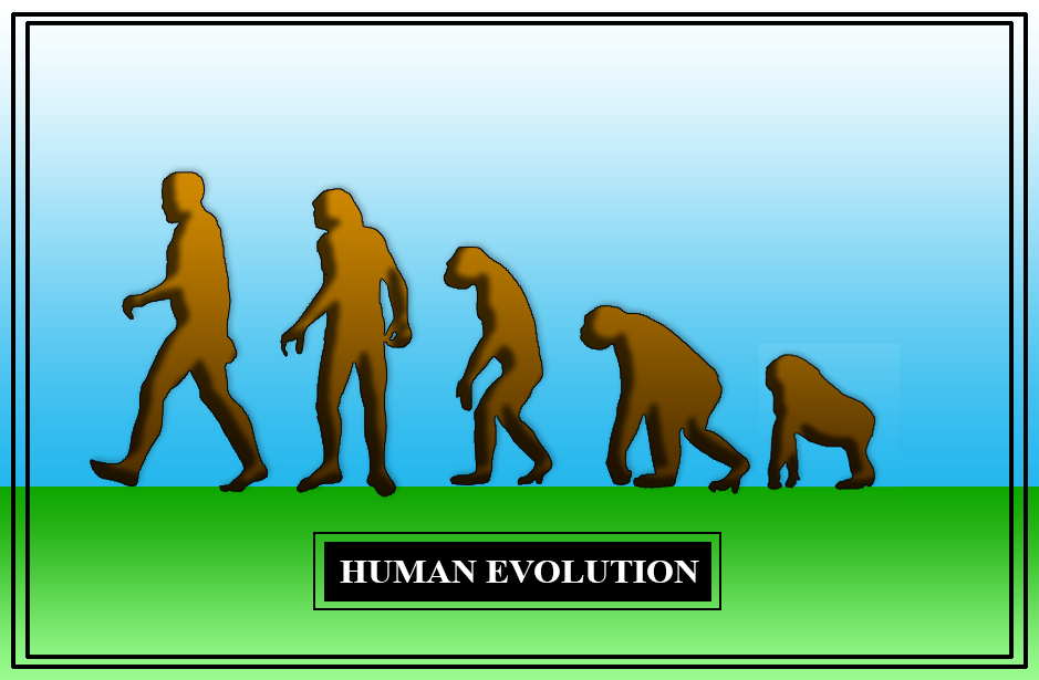 define-evolution-describe-darwin-s-theory-of-evolution