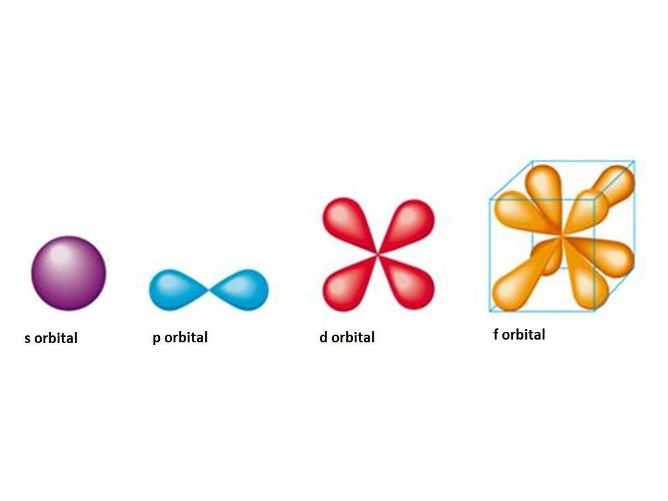 Can Someone Compare S P D And F Orbitals In Terms Of Size Shape My 