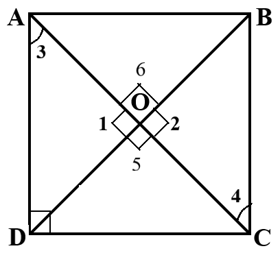 diagonals of a square