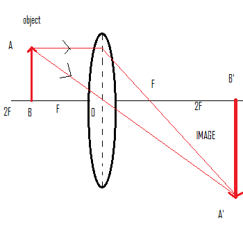 Draw ray diagram to show the formation of three times magnified (a ...