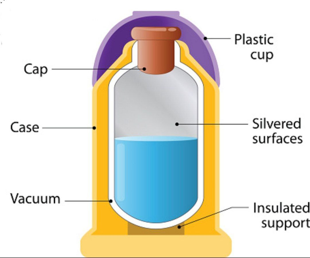Draw a labelled diagram of a thermos flask  Brainlyin