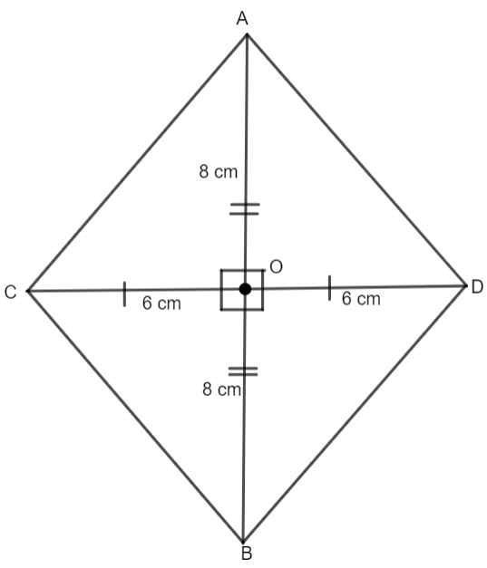 Given two sticks AB and CD of length AB = 16 cm and CD = 12 cm. Using ...