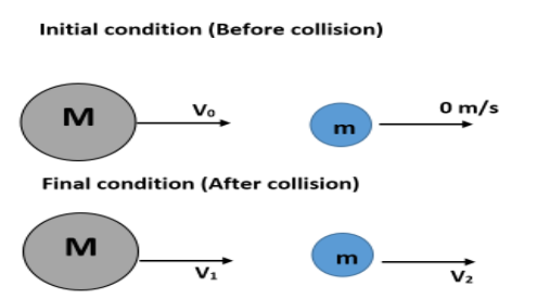 A horizontal frictionless rod is threaded through a bead of mass m. The ...