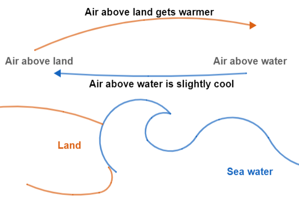 Describe the formation of sea breeze in the coastal region.