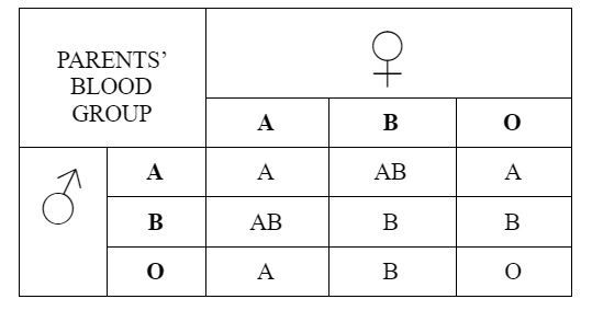 A man with type O positive blood married a woman with type B negative ...