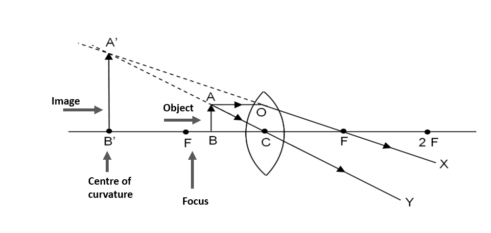 To form an enlarged image of an object in front of a convex lens, it ...