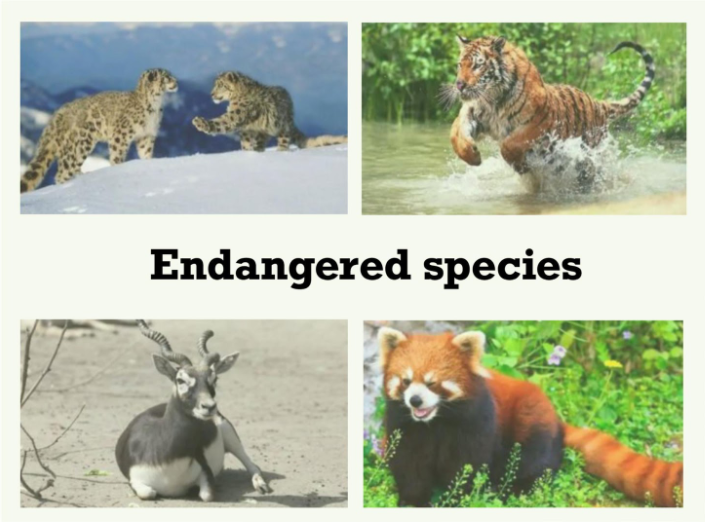 Species, which is in danger of extinction is,(A) Endangered (B ...