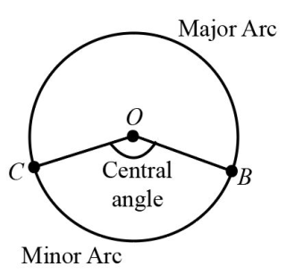 Each equal part of the circle is called:A. Semi circleB. Major circleC ...