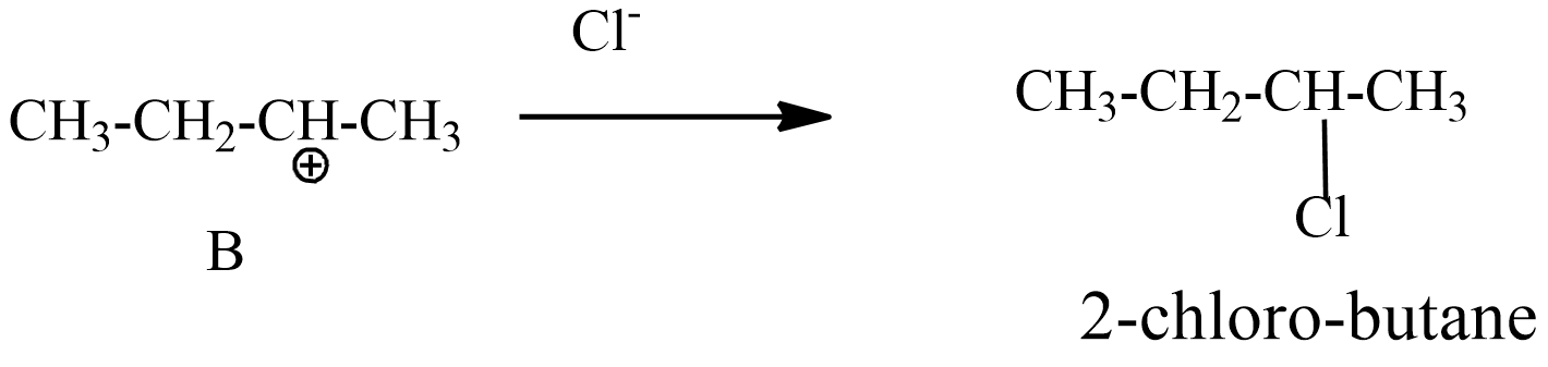 but-1-ene-in-reaction-with-hcl-in-the-presence-of-sodium-peroxide