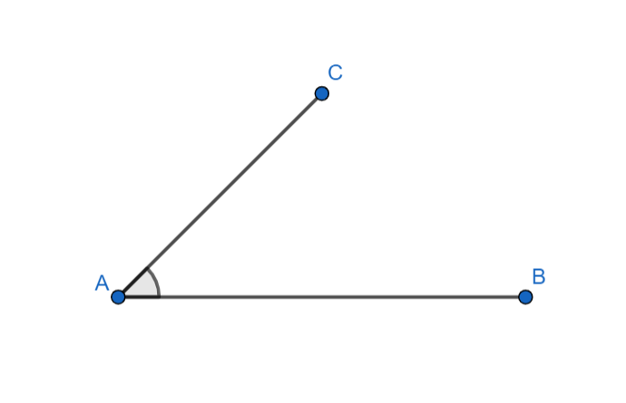 Where does the vertex of an angle lie?