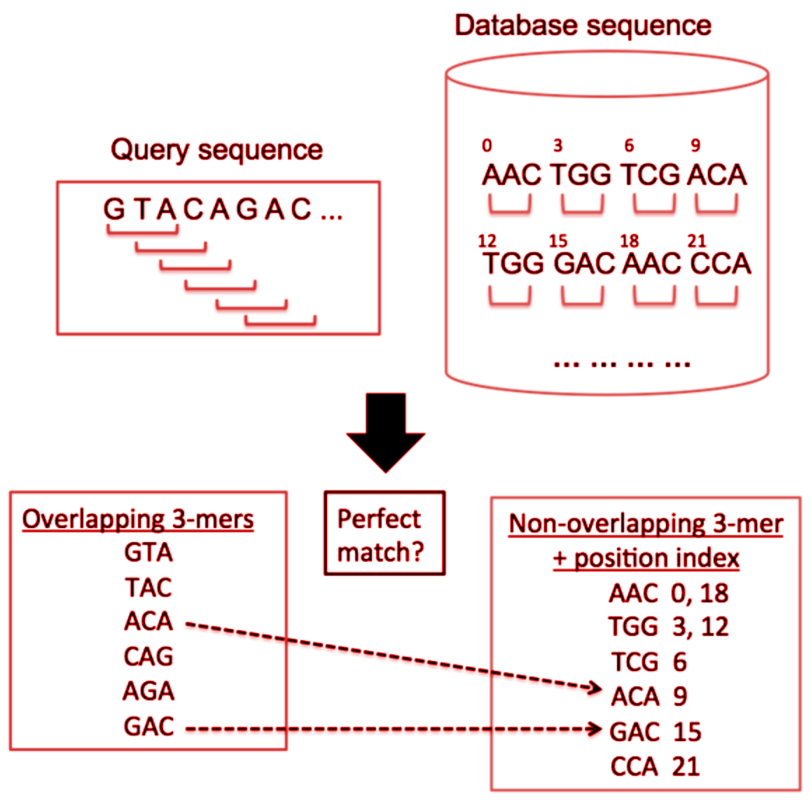 What Is Database And Its Types In Bioinformatics