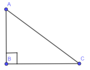 All the three sides of the right triangle are integers and one side has ...