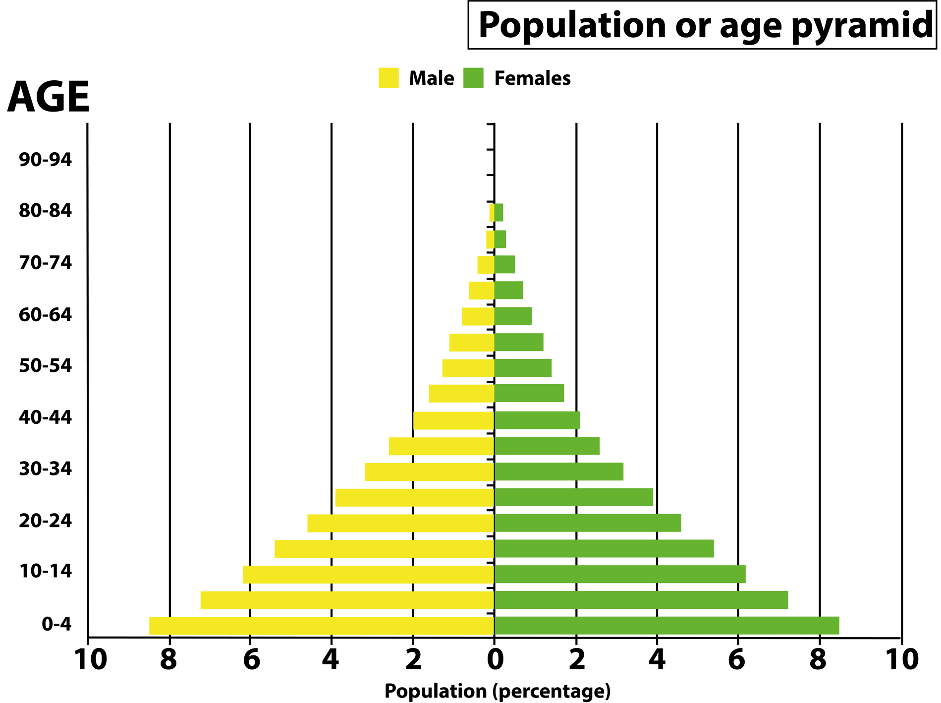 What Are Age Pyramids Name Different Types Of Age Class 12 Biology Cbse