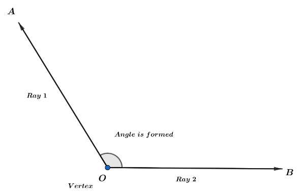 how-many-obtuse-angles-does-a-parallelogram-have