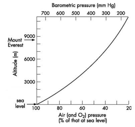 Oxygen Levels At Altitude Chart