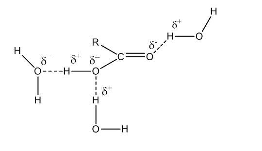 Lower members of aliphatic carboxylic acid are soluble