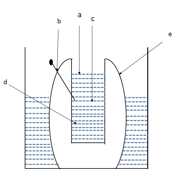 Osmosis In Potatoes Diagram