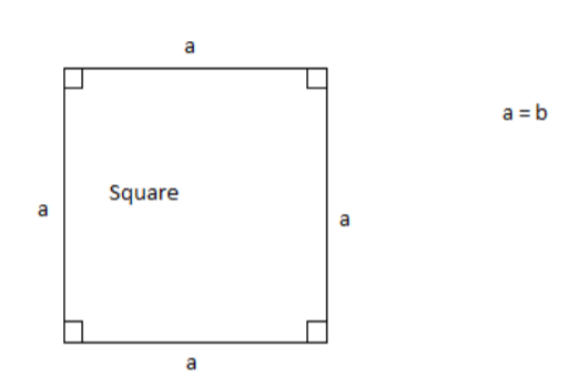 Explain How A Square Is A Rectangle.