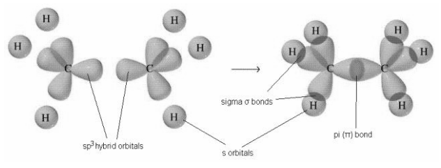 The C H bond and C C bond in ethane are formed by which class 11 ...