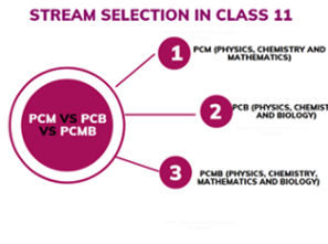 PCB or PCM Stream: What and How to Choose Class 11 Subject Combination?