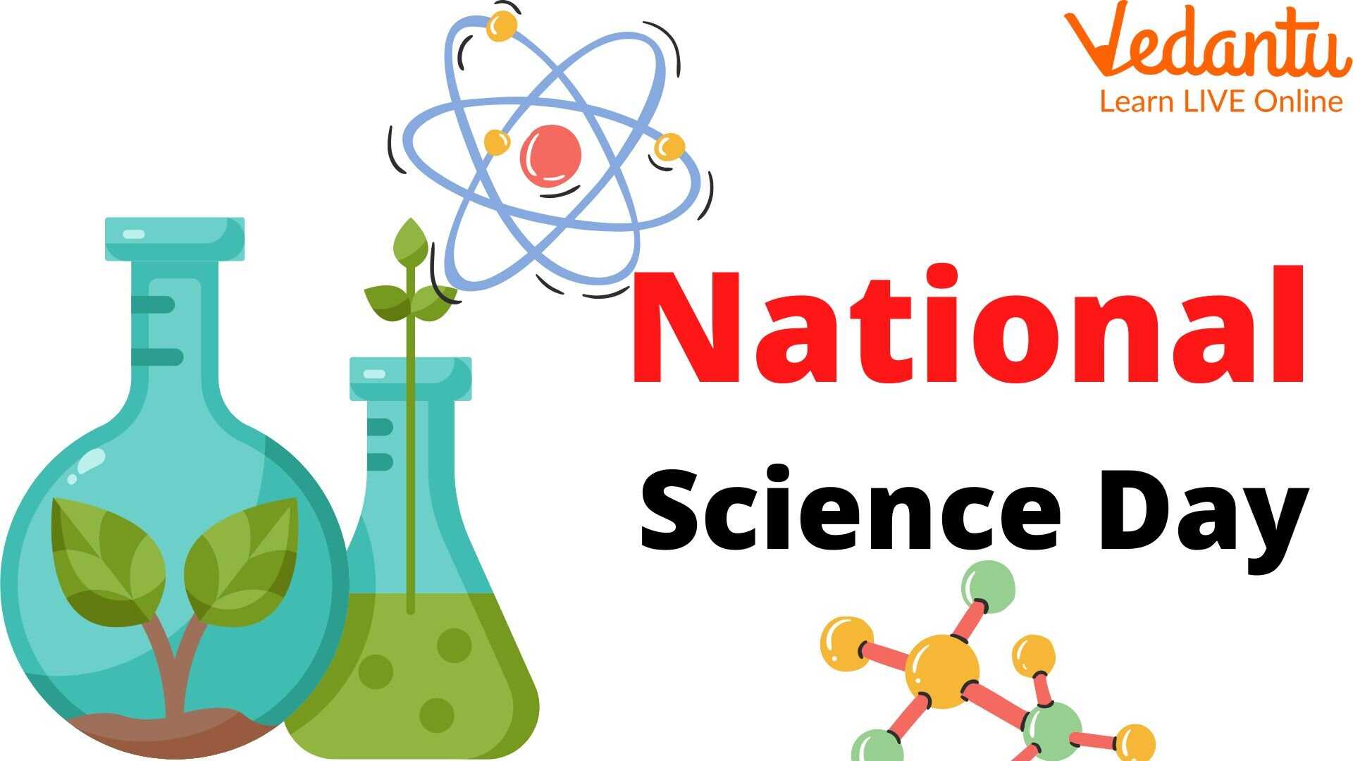 How To Celebrate Science Day In School