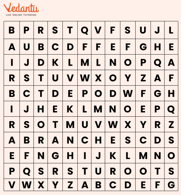 names of parts of tree grid