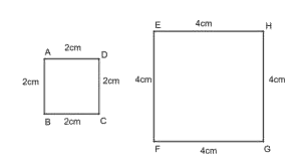 Two squares having sides 2cm and 4cm