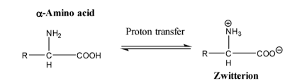 Amino acids and zwitterionic form