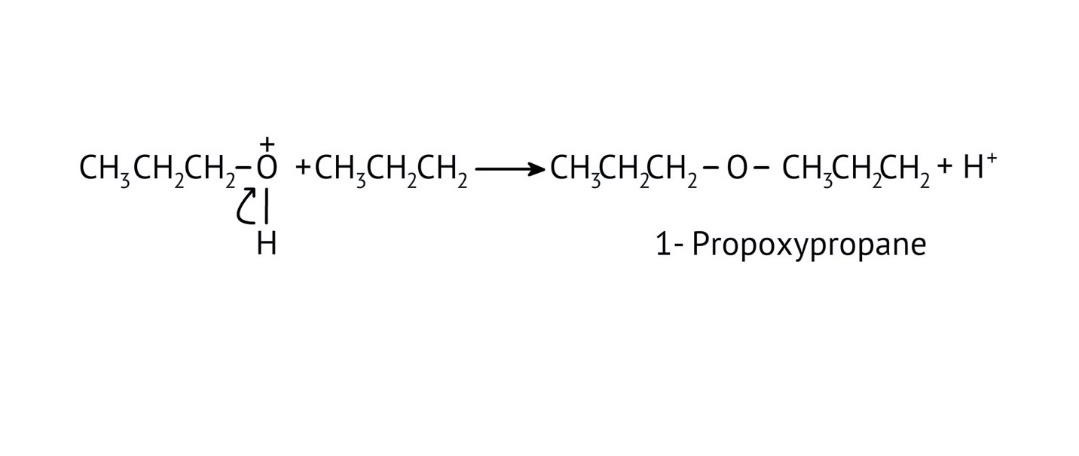 Deprotonation is the third step