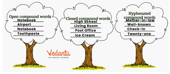 Open, Closed and Hyphenated Words Solutions